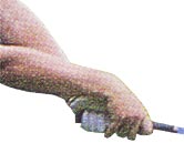 �S���t��B�@�S���t�X�C���O�A���ʐ^