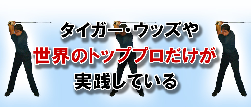 �S���t��B�@�S���t�X�C���O�A���ʐ^