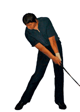 �S���t��B�@�S���t�X�C���O�A���ʐ^